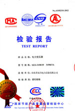 湖南电力变压器检测报告